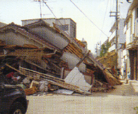 地震とシロアリ被害